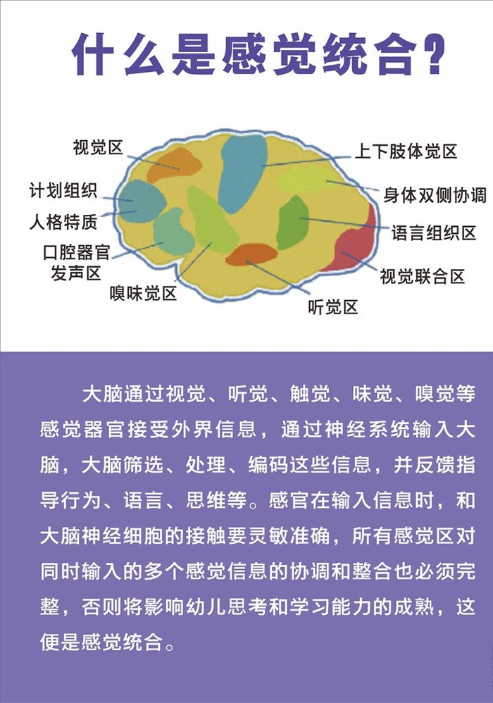 感觉统合展板图片cdr矢量模版下载