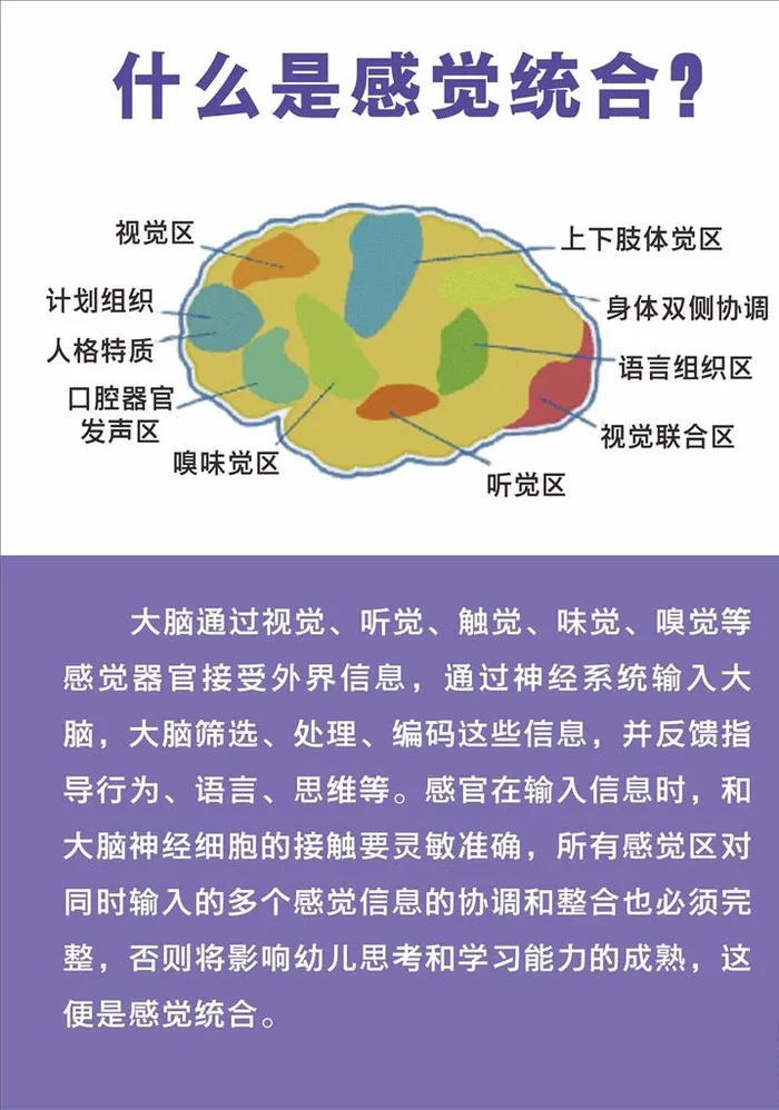 感觉统合展板图片cdr矢量模版下载