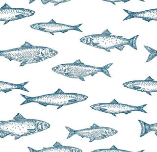 水产鱼类手绘背景底纹图片
