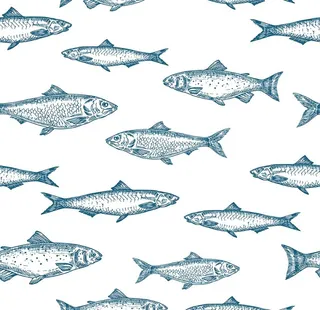 水产鱼类手绘背景底纹图片