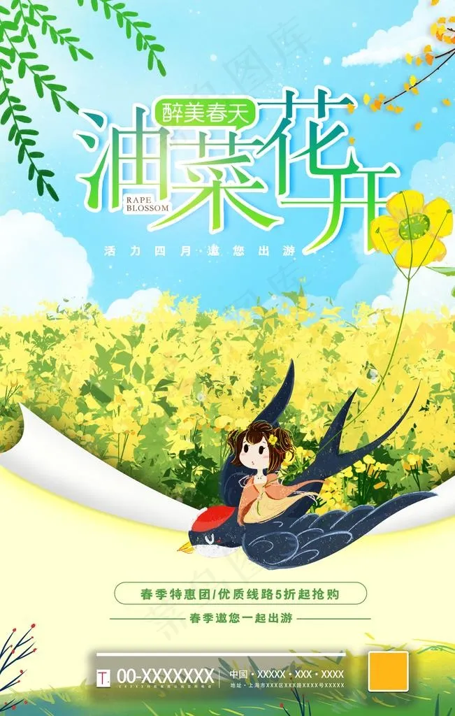 油菜花图片