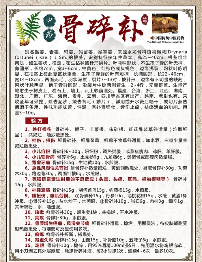 中药骨碎补海报图片cdr矢量模版下载