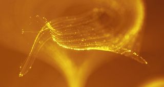 光束科技背景图片