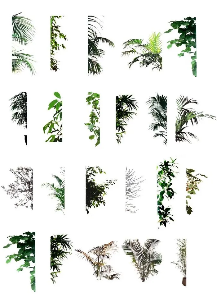 ps植物半边后期素材图片(2000x2000)psd模版下载