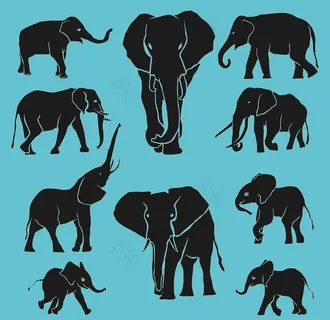 大象剪影图片
