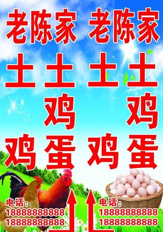土鸡蛋图片