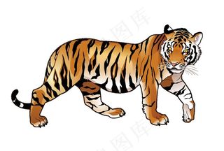 老虎图片