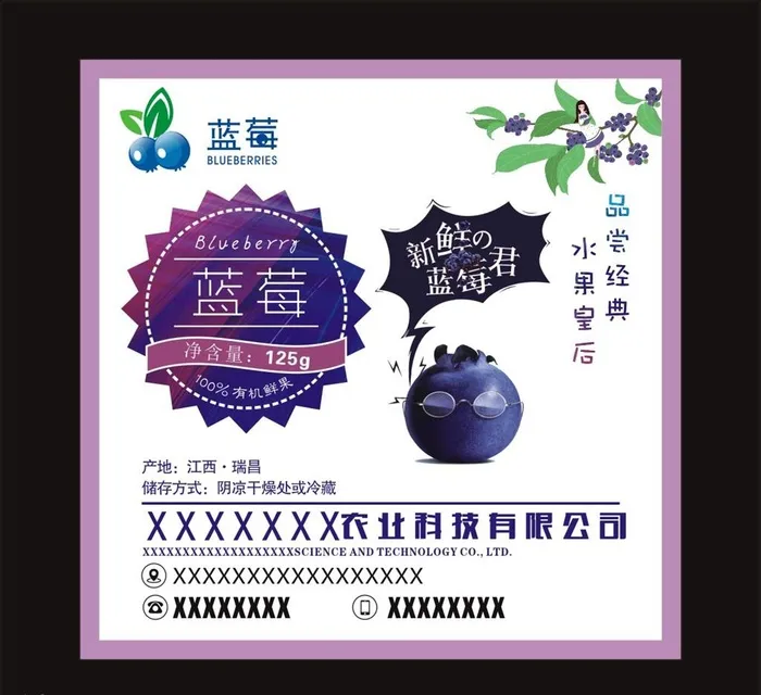 蓝莓包装标签图片cdr矢量模版下载
