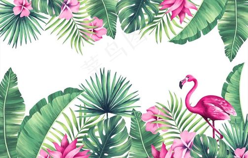 植物花朵火烈鸟插画背景图片