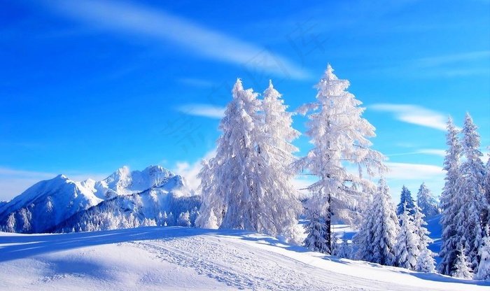 祖山雪景图片