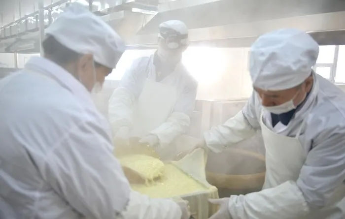 传统豆腐制作  豆腐压制图片