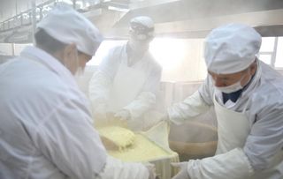 传统豆腐制作  豆腐压制图片