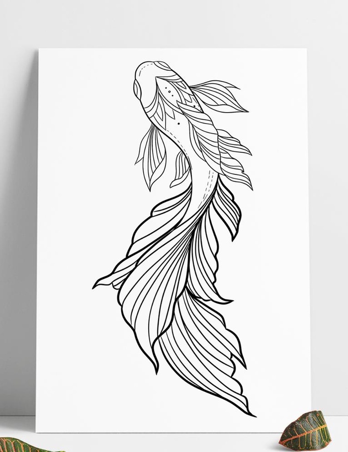 线稿白描锦鲤图片