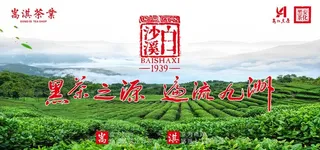 茶园图片