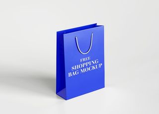 礼品袋样机图片