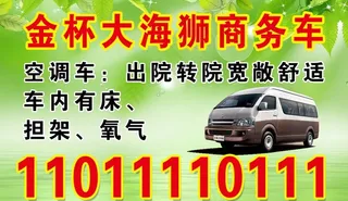 转院商务车 金杯大海狮商务车图片