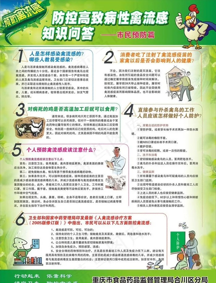 禽流感知识图片(0*0像素())cdr矢量模版下载