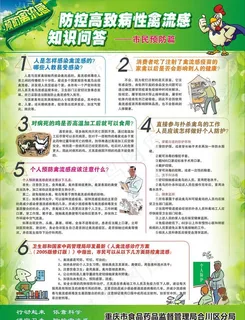 禽流感知识图片 禽流感知识图片