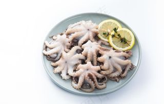 小章鱼 岩章 八爪鱼 鱿鱼图片