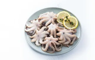 小章鱼 岩章 八爪鱼 鱿鱼图片