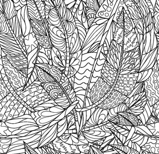 斯多德几何波图片