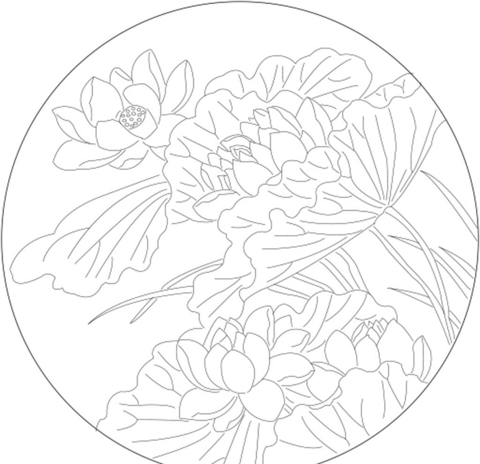 莲花图片