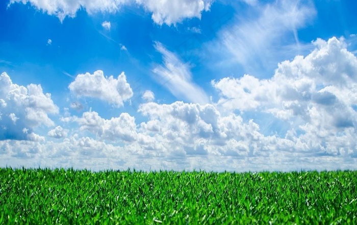 蓝天绿草图片