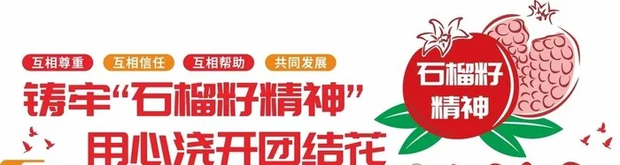 党建石榴籽精神文化墙图片cdr矢量模版下载