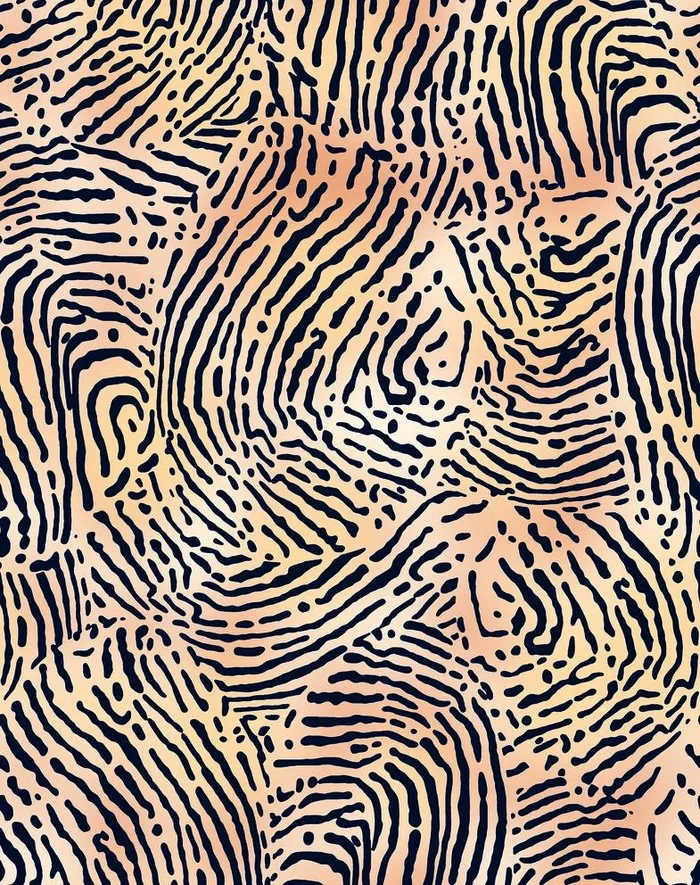 手指纹图片(3809x4969)
