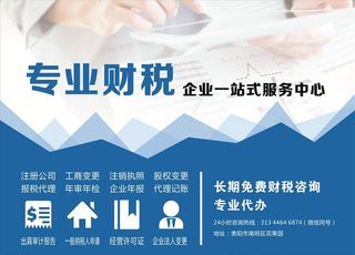专业财税 会计 财税咨询 税务图片
