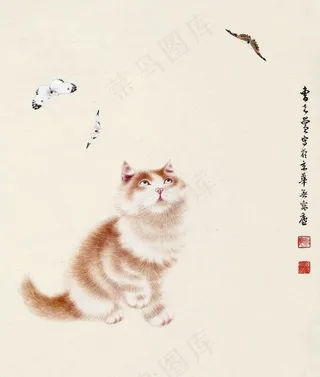 猫趣图图片