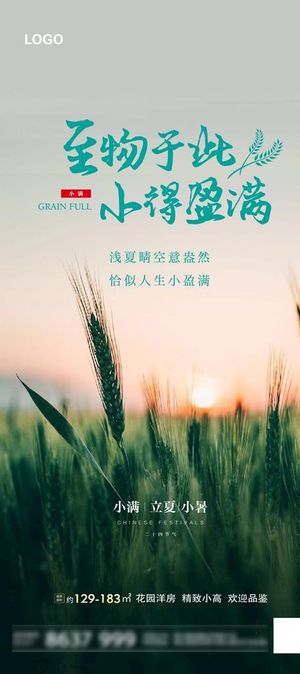 地产小满海报图片