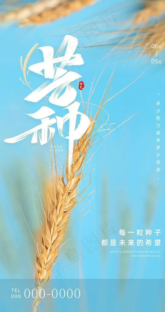 芒种图片psd模版下载