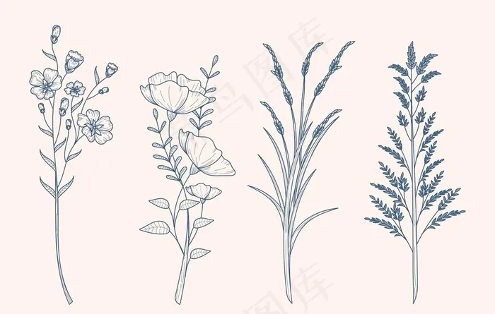 手绘植物花卉速写插画图片ai矢量模版下载