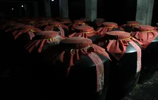 净水堂恒温窖藏图片