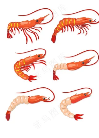 虾元素图片