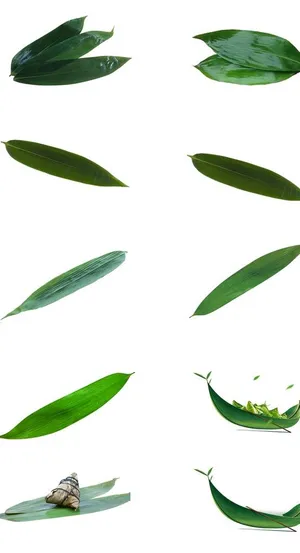 粽叶免扣素材图片