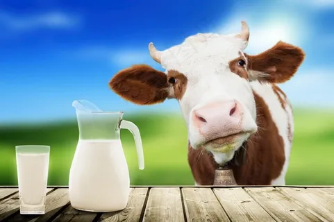 牛奶图片