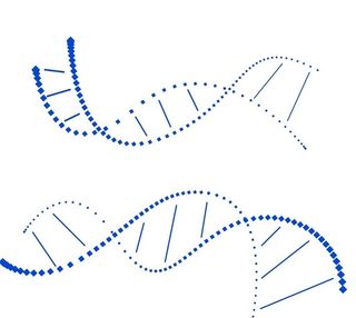 基因链 科技感 线条图片