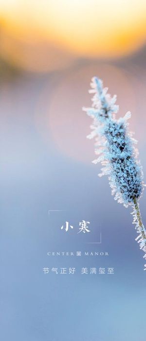小寒图片