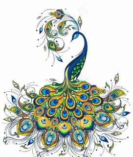 孔雀图片 孔雀图片