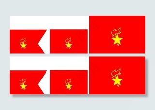 大队旗 小队旗 中队旗 大中小图片