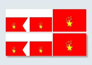 大队旗 小队旗 中队旗 大中小图片