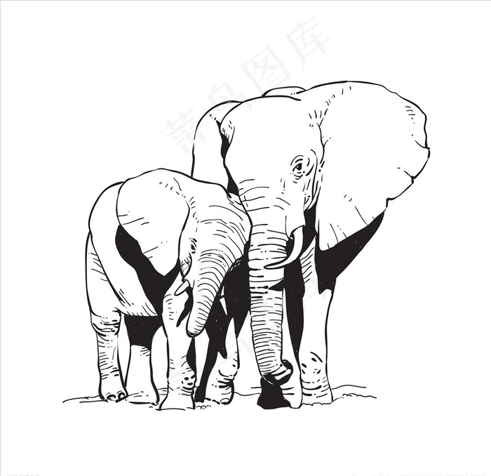 大象图片