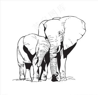 大象图片