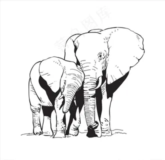 大象图片 大象图片
