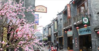 岭南印象园图片