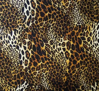 豹纹图片 豹纹图片