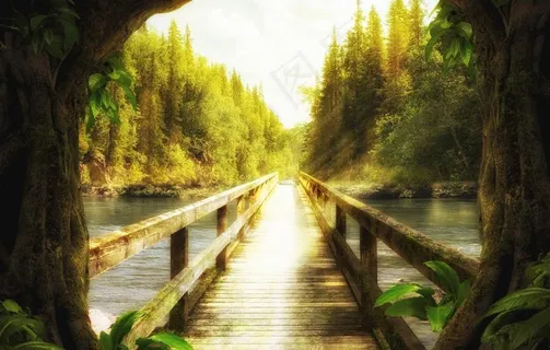 奇幻唯美森林图片