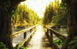 奇幻唯美森林图片